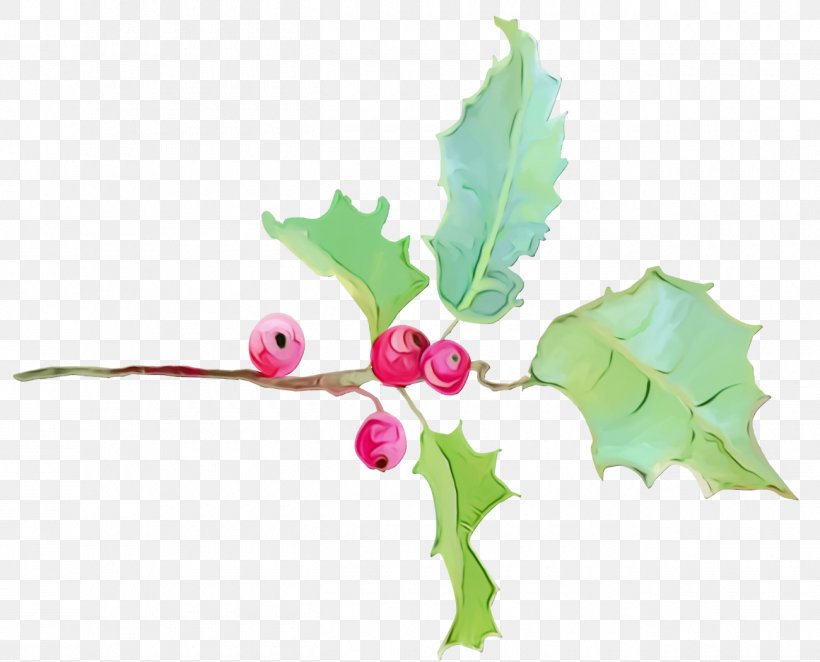 Holly, PNG, 1300x1050px, Christmas Holly, Christmas, Flower, Holly, Ilex Download Free