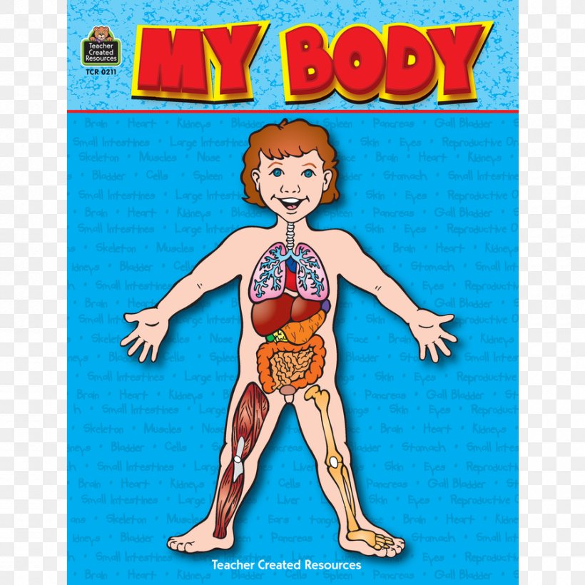 My First Human Body Book Inside Your Outside! My Body The Magic School Bus Inside The Human Body, PNG, 900x900px, Watercolor, Cartoon, Flower, Frame, Heart Download Free