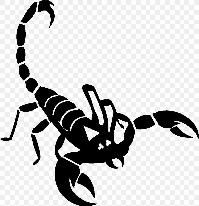 Scorpion Clip Art, PNG, 1183x1220px, Scorpion, Arachnid, Arthropod, Artwork, Black And White Download Free