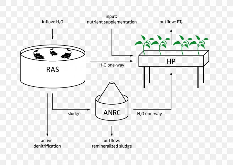 Aquaponics Hydroponics Agriculture Farm Document, PNG, 842x595px, Aquaponics, Agriculture, Area, Black And White, Brand Download Free