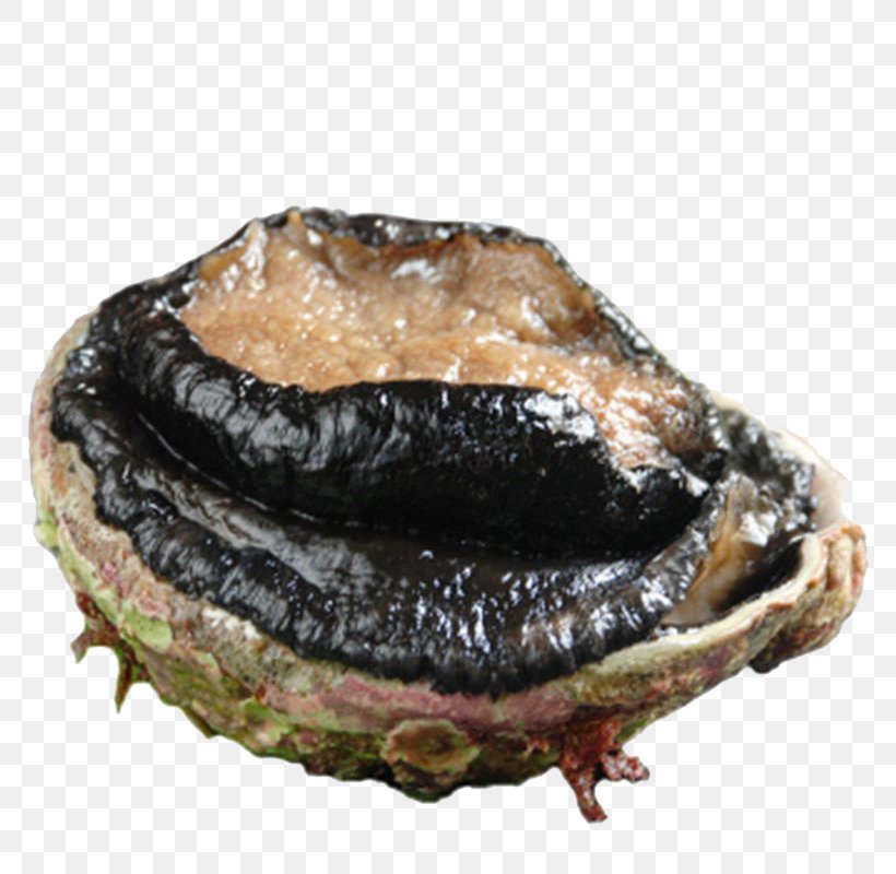 Australia Abalone Australorp Umami Seafood, PNG, 800x800px, Australia, Abalone, Animal Source Foods, Australorp, Clams Oysters Mussels And Scallops Download Free