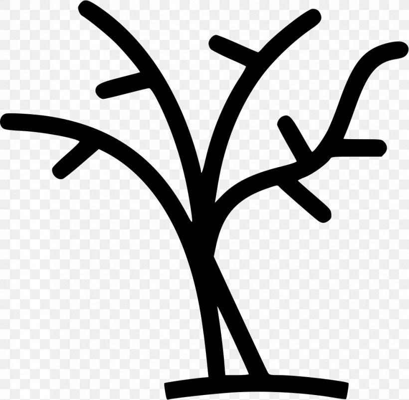 Branch Tree Clip Art, PNG, 981x960px, Branch, Artwork, Black And White, Forest, Leaf Download Free