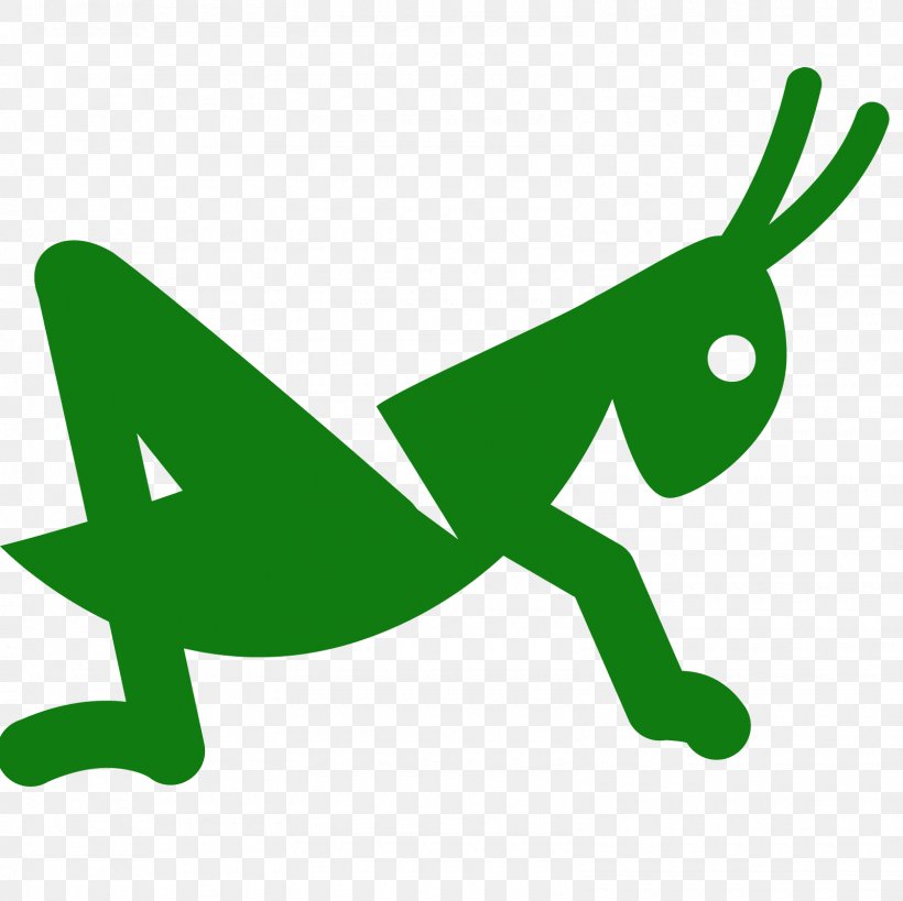 Grasshopper Caelifera Clip Art, PNG, 1600x1600px, Grasshopper, Amphibian, Area, Artwork, Caelifera Download Free