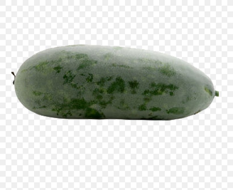 Cucumber Wax Gourd Melon, PNG, 744x667px, Cucumber, Cucumber Gourd And Melon Family, Cucumis, Gemstone, Gourd Order Download Free