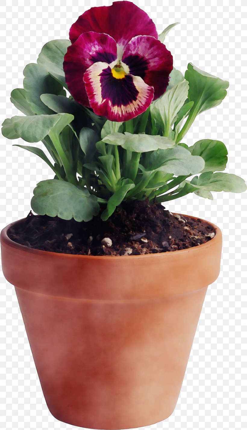 Flower Flowerpot Plant Houseplant Petal, PNG, 1511x2631px, Watercolor, Cypripedium, Flower, Flowerpot, Houseplant Download Free