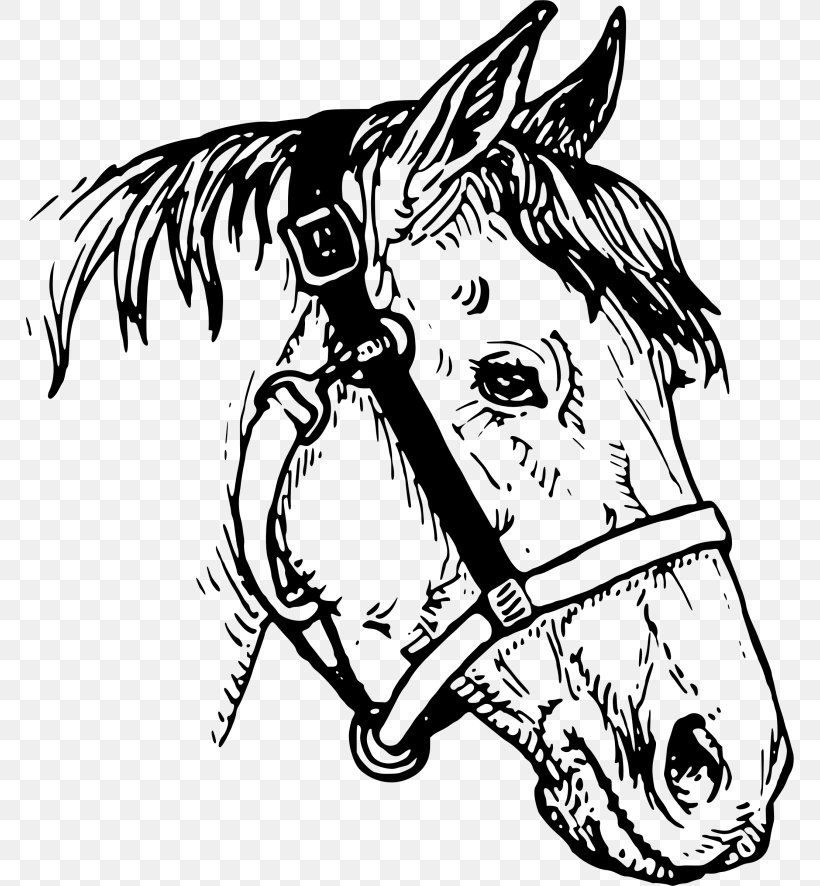 Horse Drawing Clip Art, PNG, 768x886px, Horse, Arm, Art, Artwork, Black Download Free