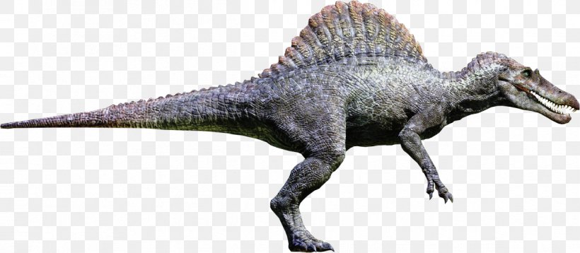 Spinosaurus Tyrannosaurus Giganotosaurus Ankylosaurus Carcharodontosaurus, PNG, 1214x531px, Spinosaurus, Allosaurus, Animal Figure, Ankylosaurus, Carcharodontosaurus Download Free