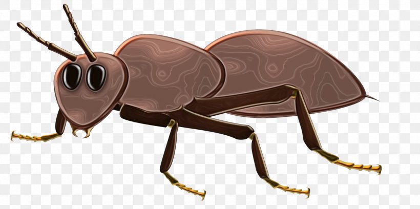 Ant Cartoon, PNG, 1280x637px, Ant, Animal Figure, Beetle, Drawing, Gift Download Free