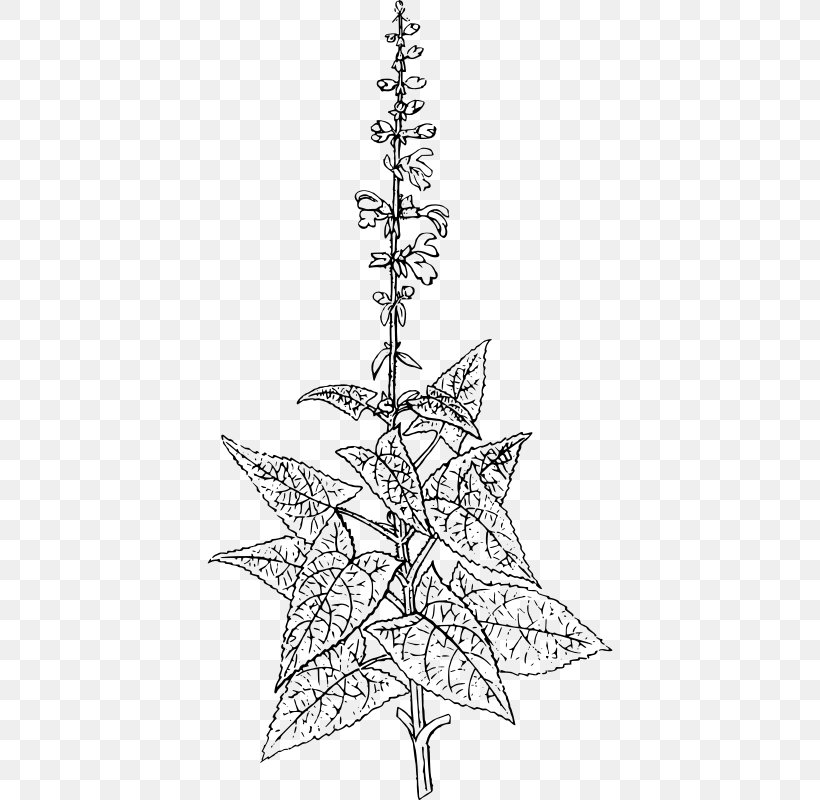 Christmas Tree Spruce Twig Fir Line Art, PNG, 406x800px, Christmas Tree, Black And White, Branch, Christmas, Christmas Decoration Download Free