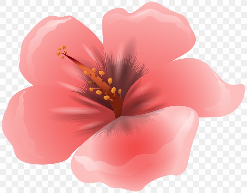 Flower Pink Clip Art, PNG, 6258x4877px, Flower, Art, Blossom, Cherry Blossom, Flowering Plant Download Free