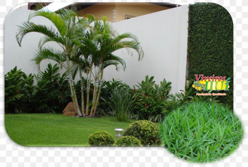 Garden Lawn Landscape Architecture Nursery Landscaping, PNG, 1014x687px, Garden, Arecales, Gram, Grass, Grass Family Download Free
