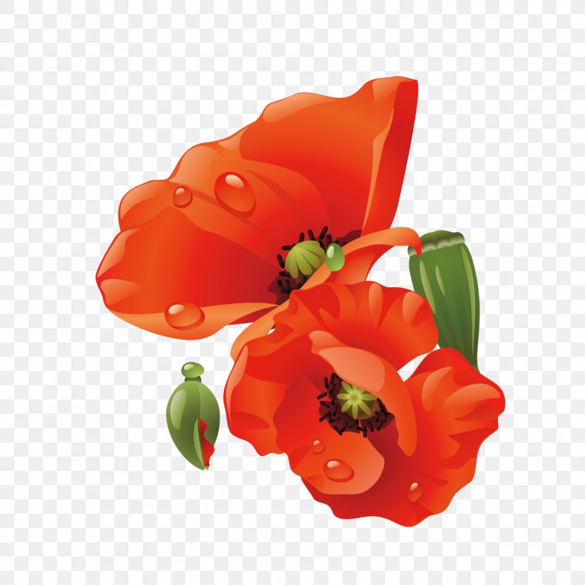 Poppy Paper Flower, PNG, 1500x1500px, Poppy, Blume, Child, Color, Coquelicot Download Free