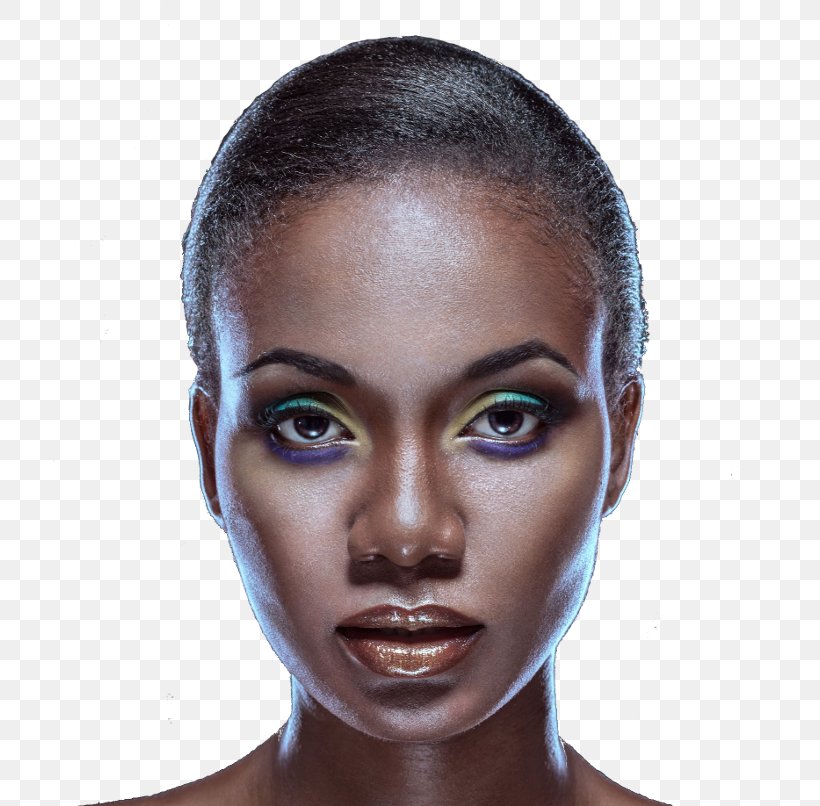 Portrait Photography Woman Female Beauty, PNG, 730x806px, Portrait, Beauty, Black Hair, Cheek, Chin Download Free