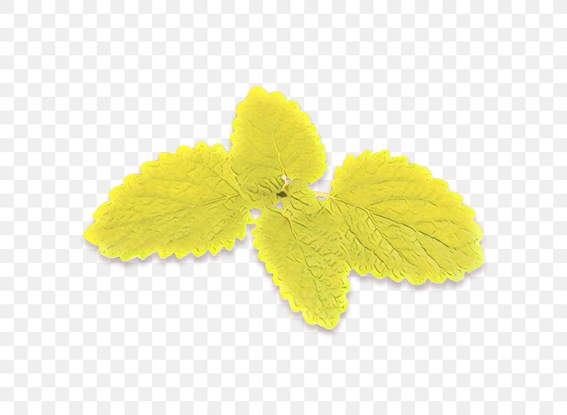 Yellow Leaf Flower Plant Petal, PNG, 600x600px, Cartoon, Flower, Herbaceous Plant, Leaf, Petal Download Free