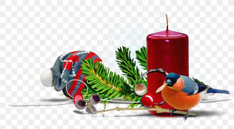 Christmas Ornaments Christmas Decoration Christmas, PNG, 1600x884px, Christmas Ornaments, Bird, Branch, Christmas, Christmas Decoration Download Free