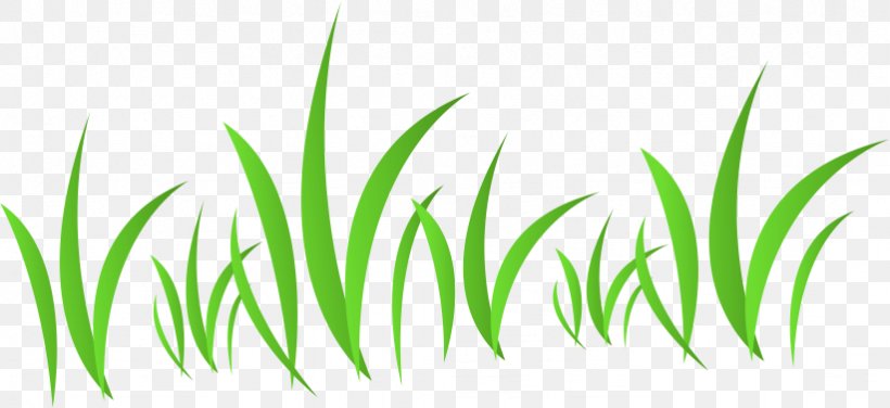 Download, PNG, 822x377px, Cartoon, Commodity, Computer, Energy, Grass Download Free
