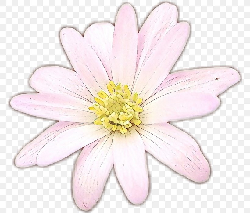 Flower Flowering Plant Petal Pink Plant, PNG, 770x698px, Cartoon, Cosmos, Daisy Family, Flower, Flowering Plant Download Free