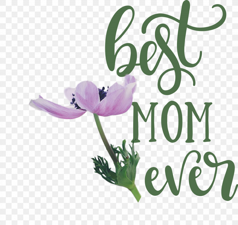Mothers Day Best Mom Ever Mothers Day Quote, PNG, 3042x2881px, Mothers Day, Best Mom Ever, Cut Flowers, Flora, Floral Design Download Free