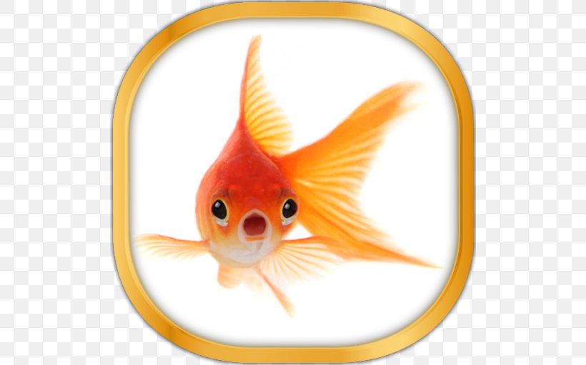 Common Goldfish Oranda Koi Pet, PNG, 512x512px, Fish, Advertising, Animal, Bony Fish, Common Goldfish Download Free
