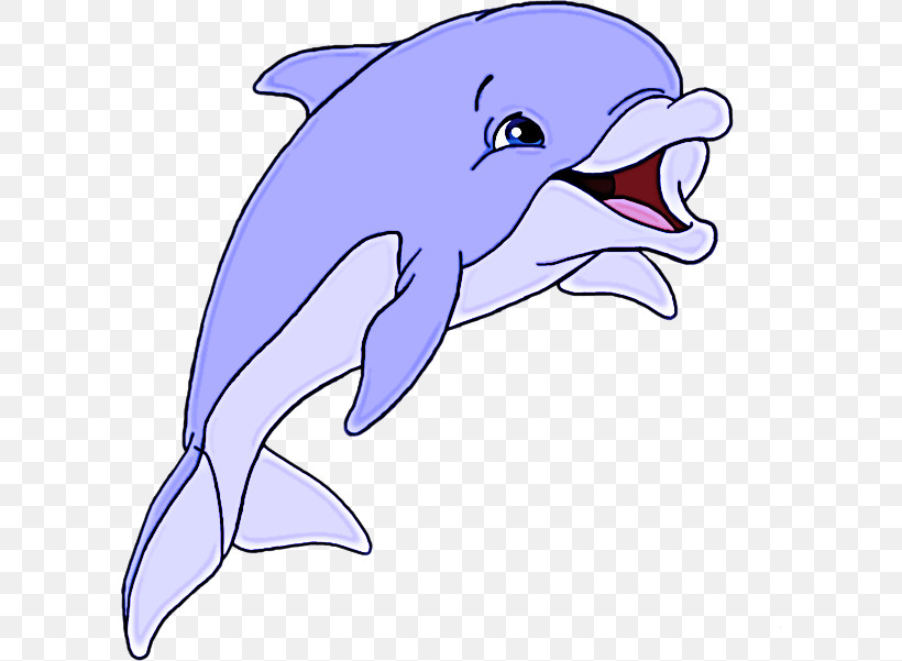 Dolphin Bottlenose Dolphin Short-beaked Common Dolphin Cetacea Fin, PNG, 600x601px, Dolphin, Bottlenose Dolphin, Cetacea, Fin, Shortbeaked Common Dolphin Download Free