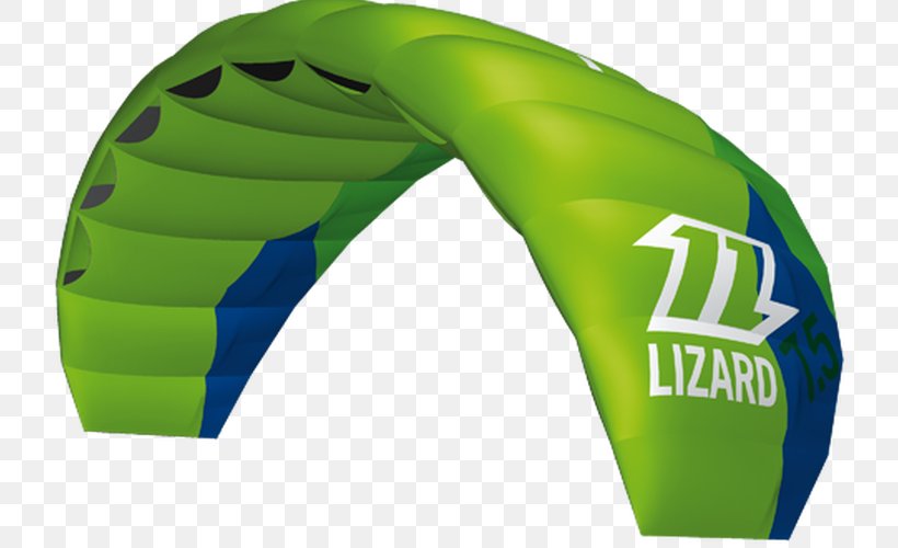 Kitesurfing Lizard Aile De Kite, PNG, 770x500px, Kitesurfing, Aile De Kite, Boardleash, Foil Kite, Green Download Free