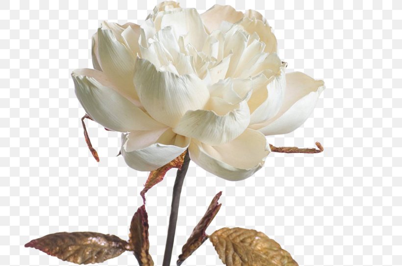 Paper Cut Flowers Tierra D'ete Flower Artificial Flower, PNG, 723x542px, Paper, Artificial Flower, Branch, Bud, Cut Flowers Download Free