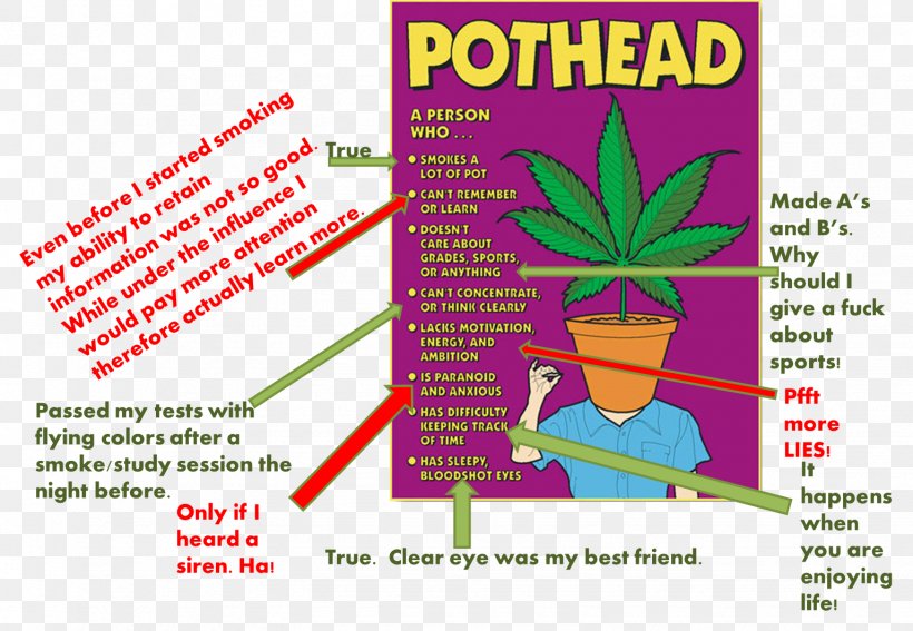 Plant Stereotype Brother Son Mother, PNG, 1535x1063px, Plant, Area, Brother, Cannabis, Chrysanthemum Download Free