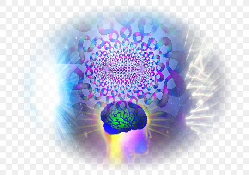 Consciousness Chokhmah Tree Of Life Binah Human Brain, PNG, 737x575px, Consciousness, Binah, Brain, Chokhmah, Close Up Download Free