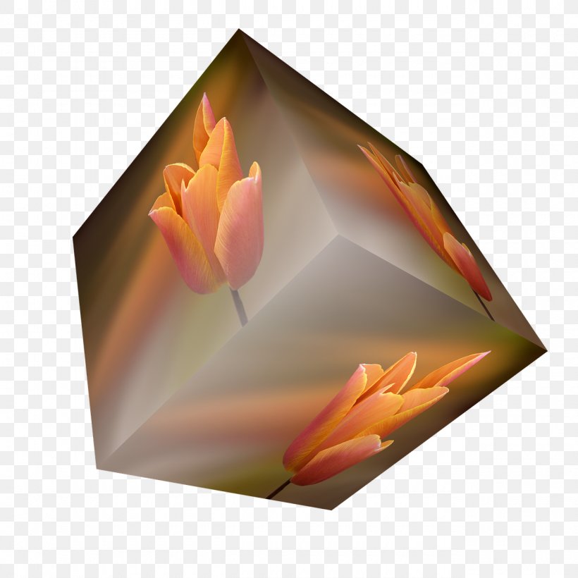 Flower Orange Tulip Cube, PNG, 1280x1280px, Flower, Cube, Drawing, Idea, Orange Download Free