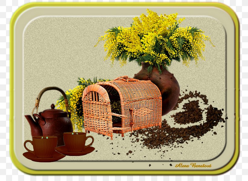 Flowerpot, PNG, 800x600px, Flowerpot Download Free