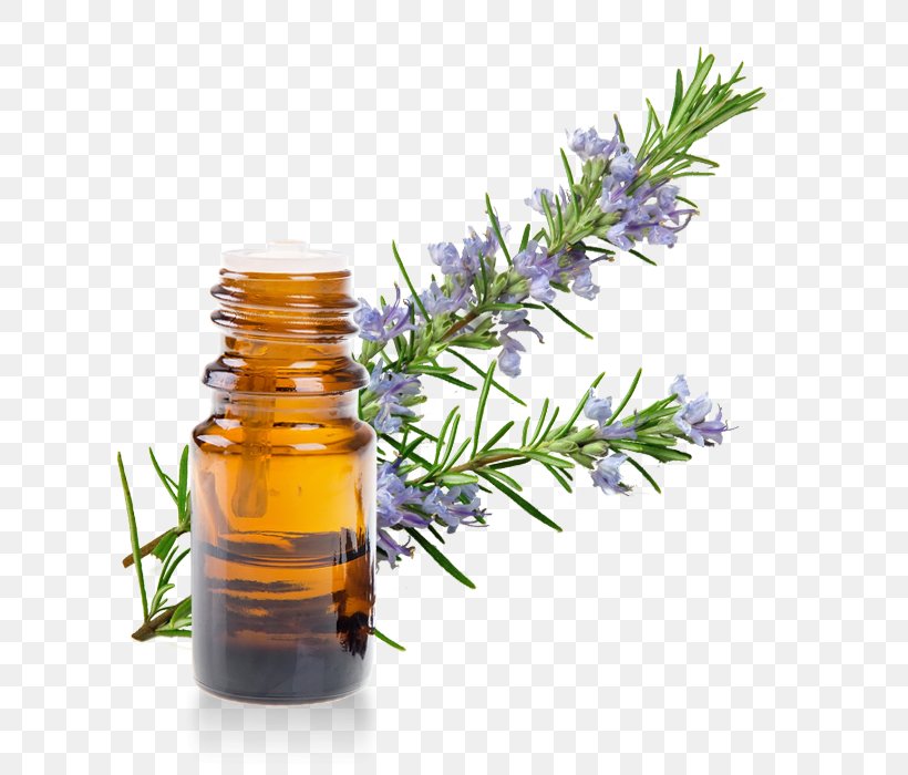 Herb Essential Oil Rosemary Extract, PNG, 700x700px, Herb, Aroma Compound, Aromatherapy, Distillation, Essential Oil Download Free