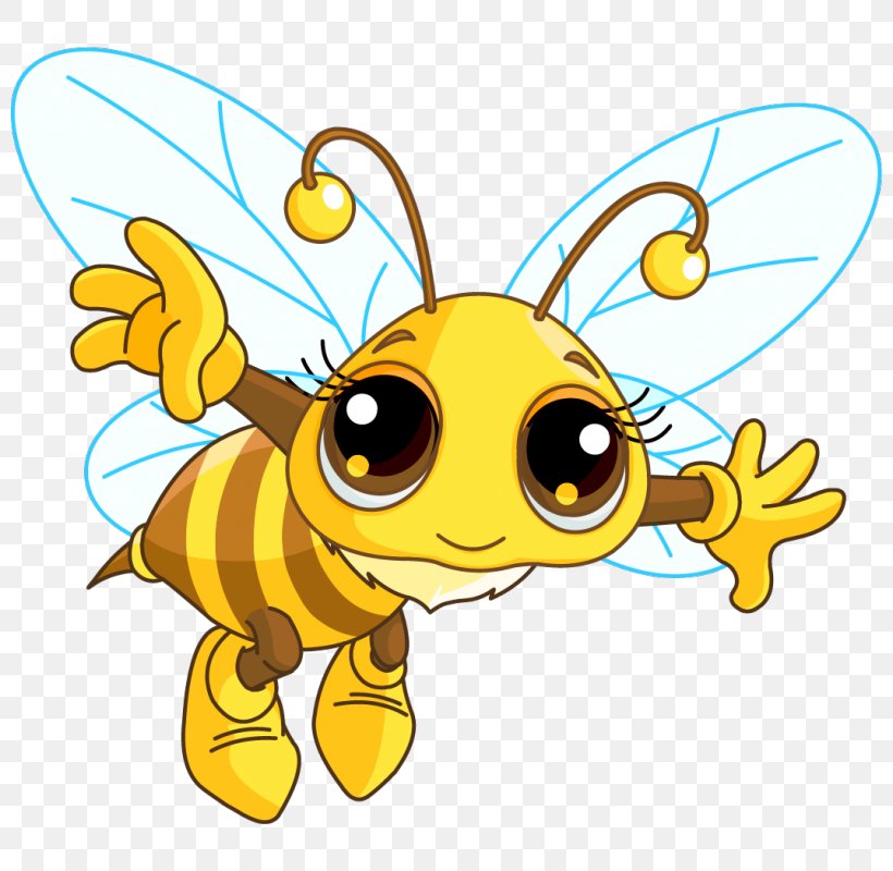 Honey Bee Clip Art Illustration Vector Graphics, PNG, 800x800px, Honey Bee, Artwork, Bee, Bee Hive, Beehive Download Free