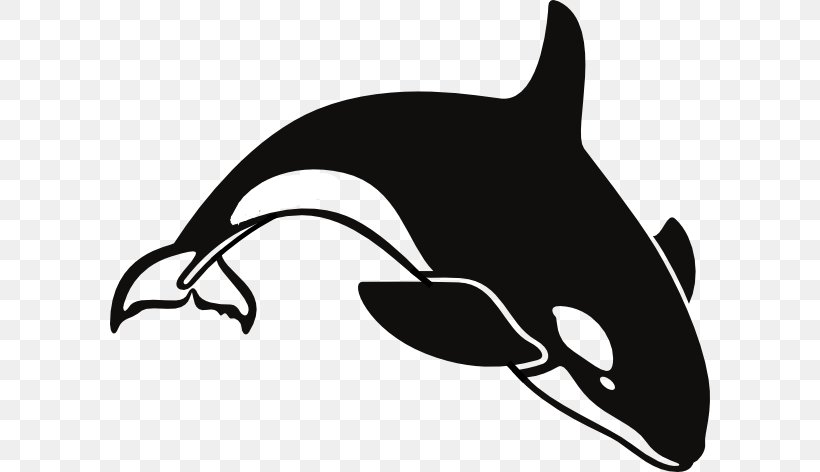 Killer Whale Shamu Clip Art, PNG, 600x472px, Killer Whale, Beak, Beluga Whale, Black, Black And White Download Free