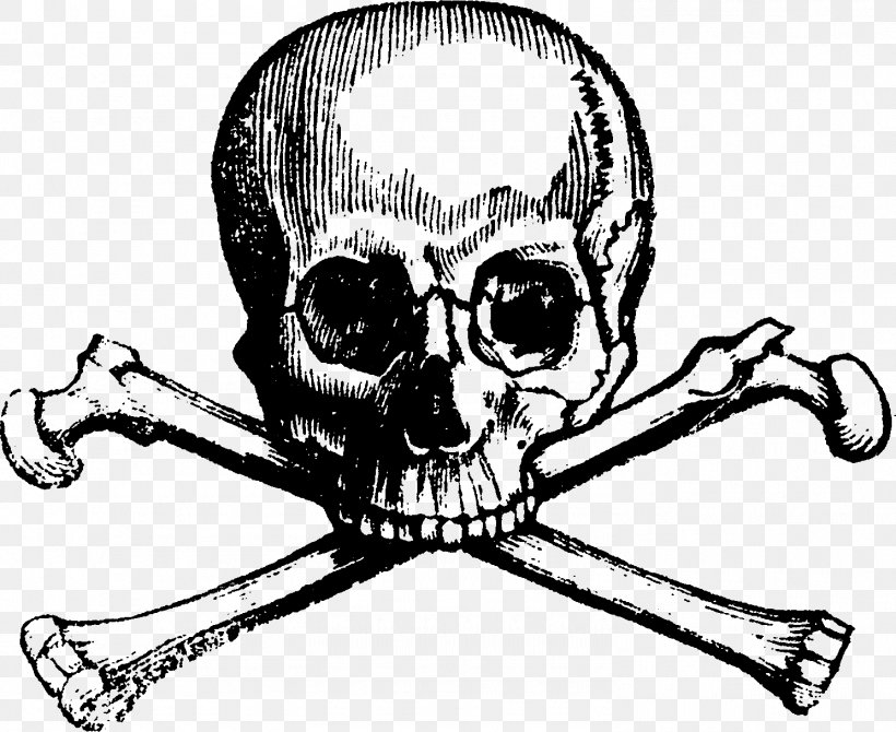 Skull And Bones Skull And Crossbones Human Skull Symbolism, PNG, 1488x1217px, Watercolor, Cartoon, Flower, Frame, Heart Download Free