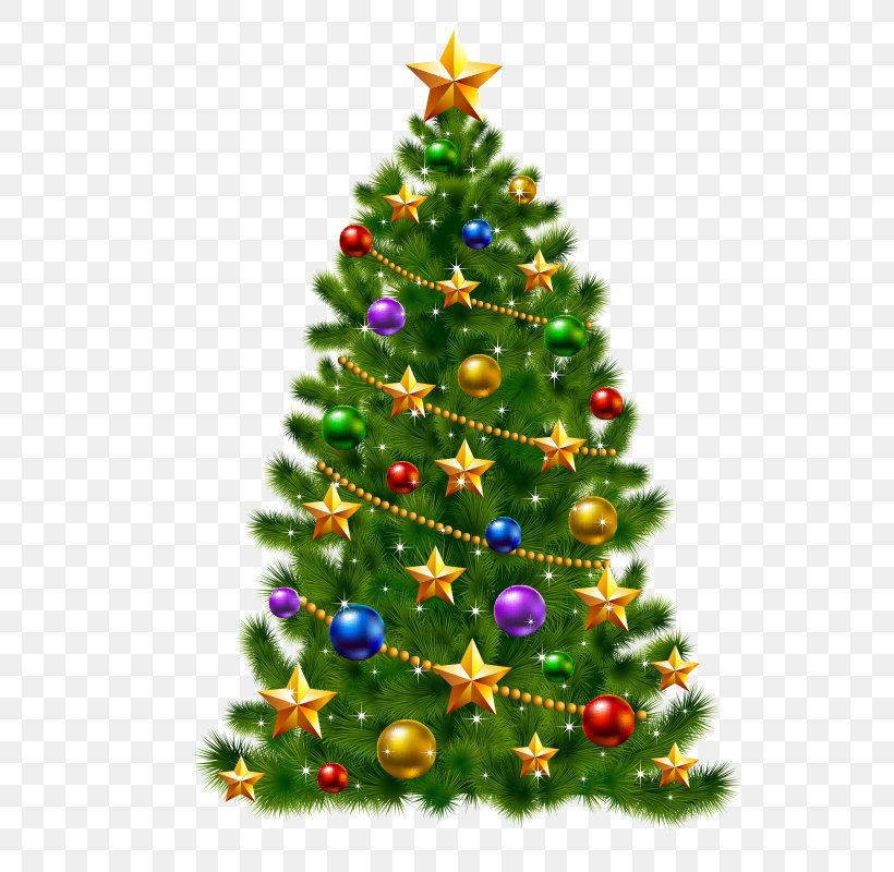 Christmas Tree Clip Art, PNG, 800x800px, Christmas Tree, Artificial Christmas Tree, Christmas, Christmas Decoration, Christmas Gift Download Free