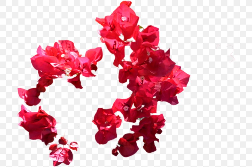 Pink Flowers Background, PNG, 713x543px, Flower, Blue, Bougainvillea, Cut Flowers, Drawing Download Free