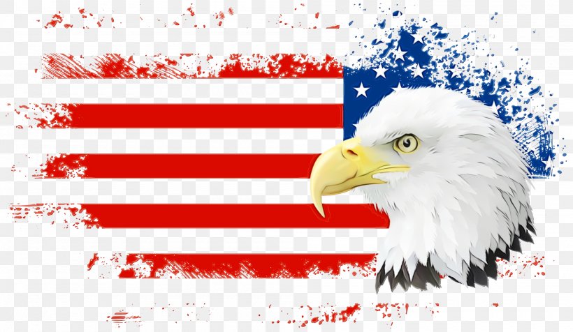 Veterans Day Independence Day, PNG, 2000x1162px, 4th Of July, Fourth Of July, Accipitridae, American, American Flag Download Free