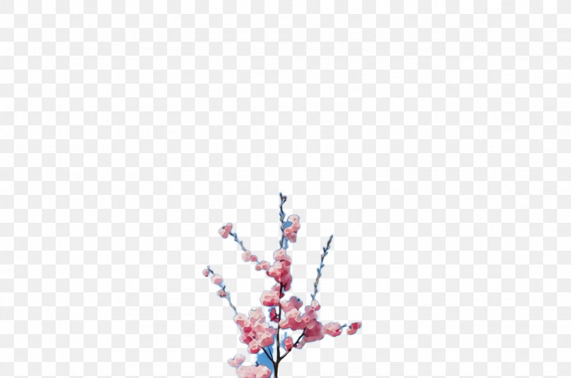 Cherry Blossom, PNG, 2456x1628px, Watercolor, Blossom, Branch, Cherry Blossom, Flower Download Free