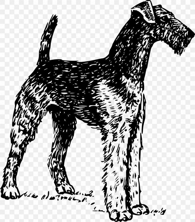 Airedale Terrier Boston Terrier Soft-coated Wheaten Terrier Yorkshire Terrier Bedlington Terrier, PNG, 1688x1920px, Airedale Terrier, Bedlington Terrier, Black And White, Boston Terrier, Breed Download Free