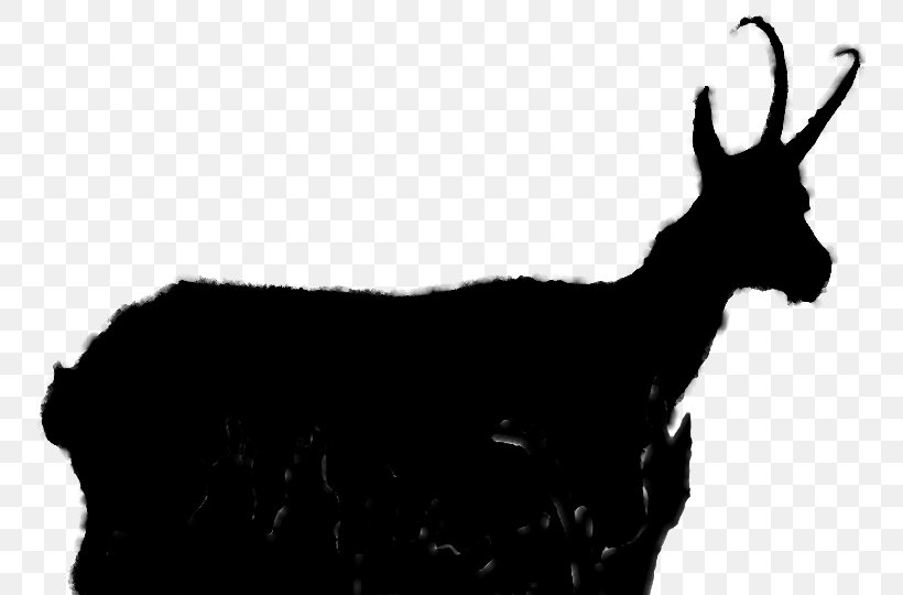 Goat Cattle Reindeer Camel Antelope, PNG, 752x540px, Goat, Antelope, Blackandwhite, Bovidae, Camel Download Free