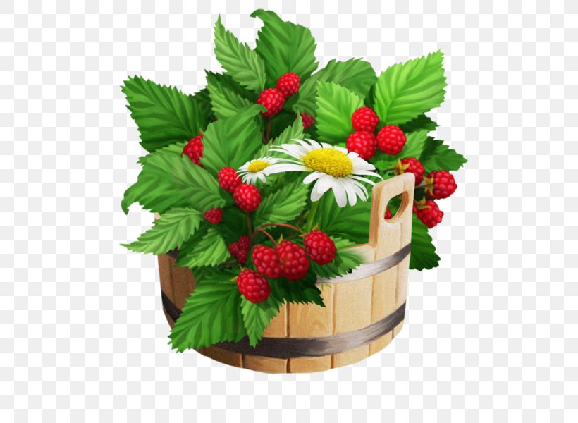 Raspberry Fruit, PNG, 600x600px, Berry, Auglis, Flowerpot, Food, Fruit Download Free