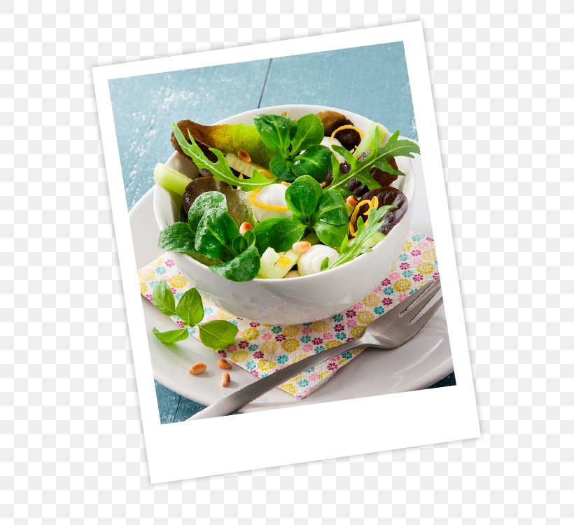 Salad Arugula Lettuce La Tendresse Flowerpot, PNG, 653x750px, Salad, Arugula, Carrot, Character Structure, Chard Download Free