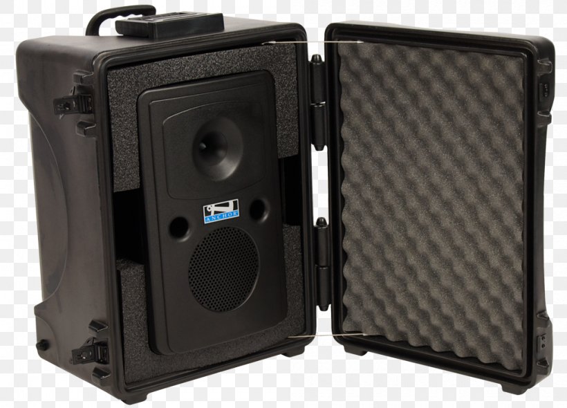 Wireless Microphone Public Address Systems Audio Loudspeaker, PNG, 1000x720px, Microphone, Amplifier, Audio, Camera Accessory, Electronic Instrument Download Free
