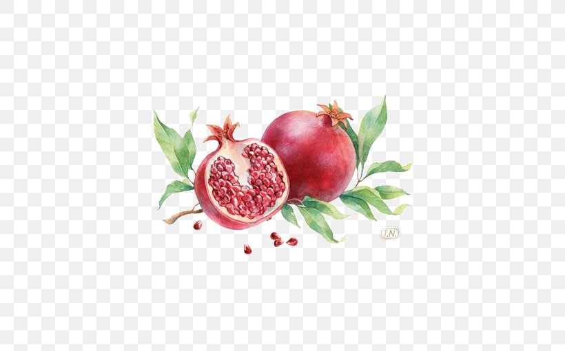 Pomegranate Fruit Red, PNG, 510x510px, Pomegranate, Cherry, Color, Colored Pencil, Diet Food Download Free