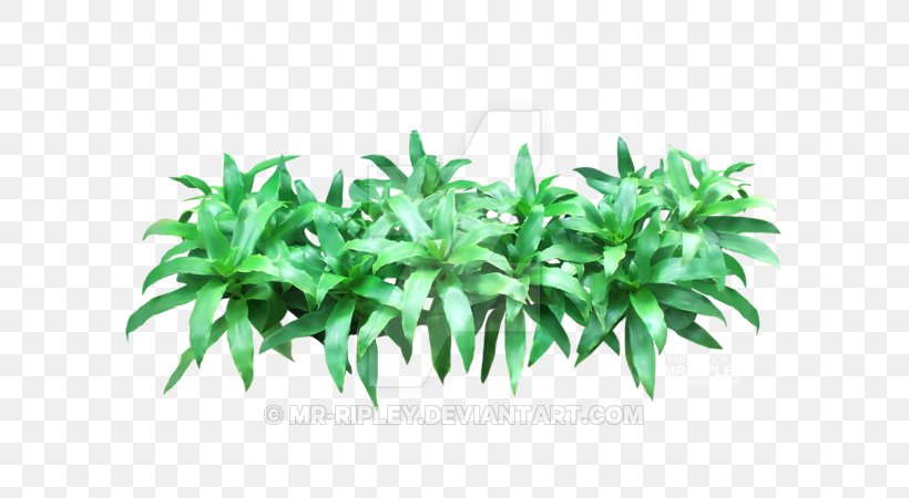 Leaf Flowerpot Herb Tree, PNG, 600x450px, Leaf, Flowerpot, Grass, Herb, Plant Download Free