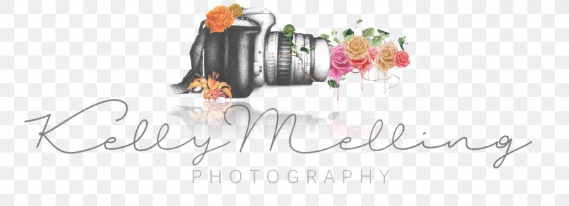 Preston Logo Photography Child Photographer, PNG, 1500x544px, Preston, Brand, Child, City Of Preston Lancashire, Family Download Free