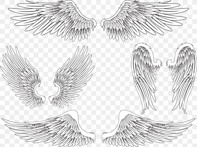 Angel Wing Bird Feather, PNG, 4785x3587px, Wing, Angel Wing, Bird, Bird Flight, Black And White Download Free