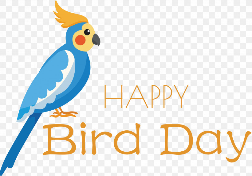 Bird Day Happy Bird Day International Bird Day, PNG, 3000x2092px, Bird Day, Beak, Biology, Birds, Brandalley Download Free