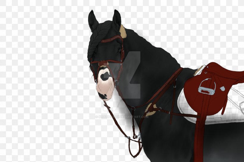 Bridle Mustang Stallion Rein Horse Harnesses, PNG, 1024x679px, Bridle, Bit, Dog Harness, Halter, Horse Download Free