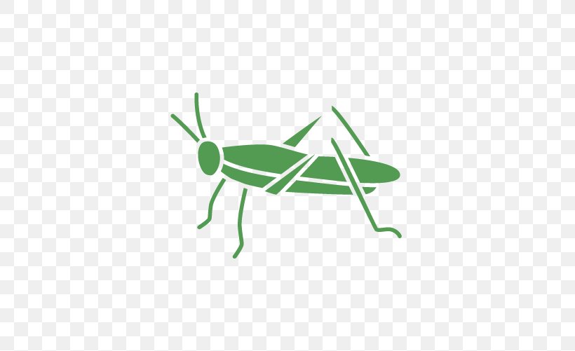 Grasshopper Insect Pest Clip Art, PNG, 501x501px, Grasshopper, Cricket Like Insect, Grass, Green, Insect Download Free
